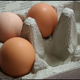 Illustration for article titled A new application for your post-omelette waste